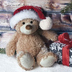 Christmas Teddy with Present