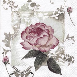 Enchanting Rose Vintage rosé