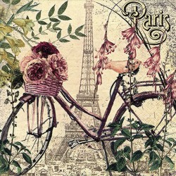 Vélo a Paris